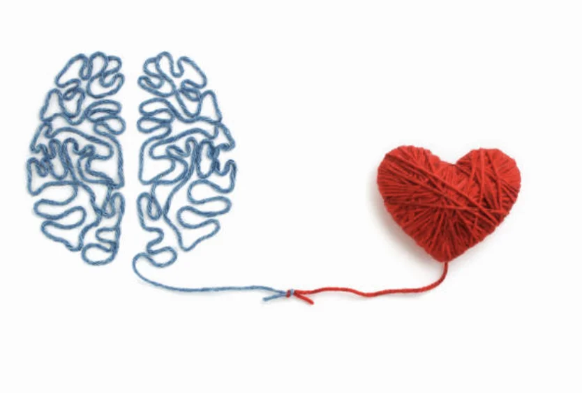 Intelligence émotionnelle intelligence naturelle