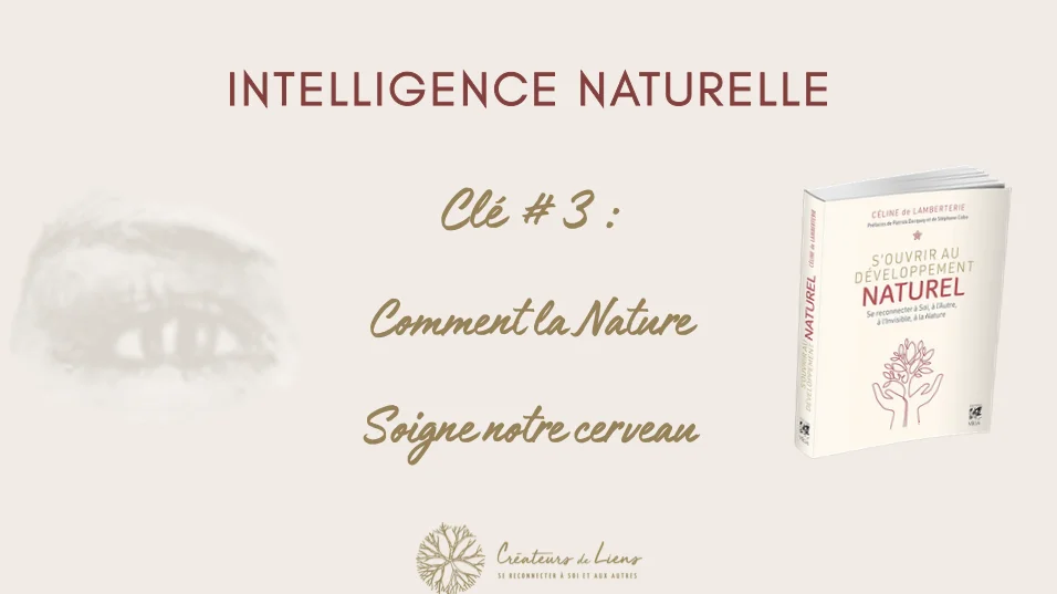 comment la nature soigne notre cerveau