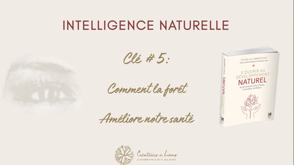 Comment la forêt améliore notre santé