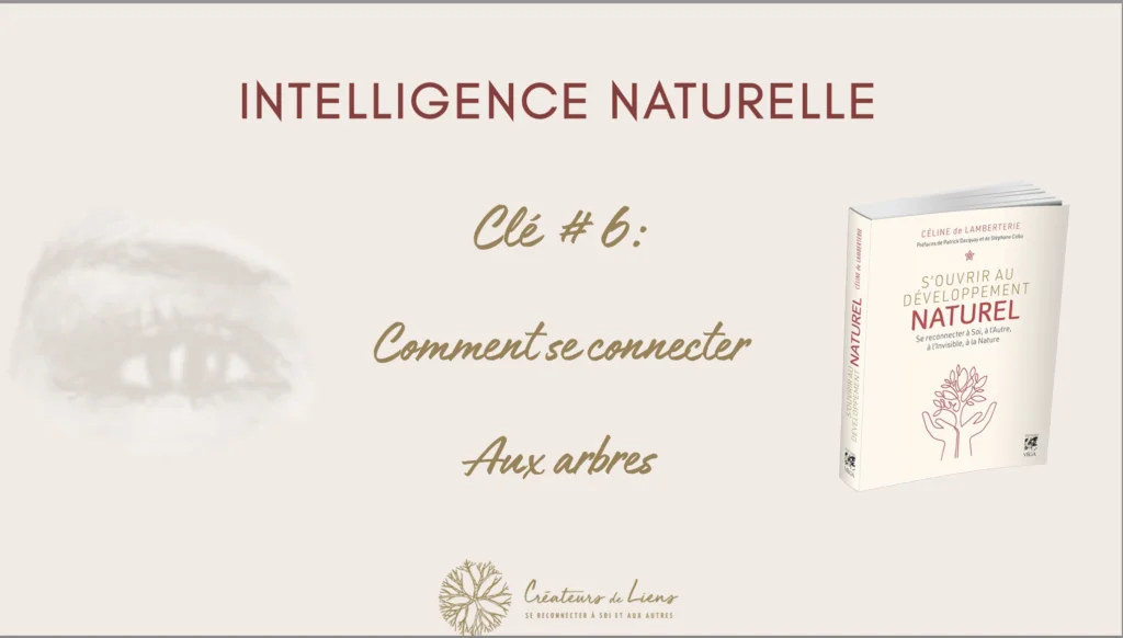 Comment se connecter aux arbres
