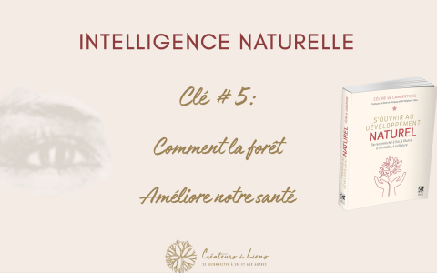 Comment la forêt améliore notre santé