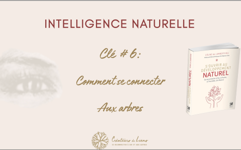 Comment se connecter aux arbres
