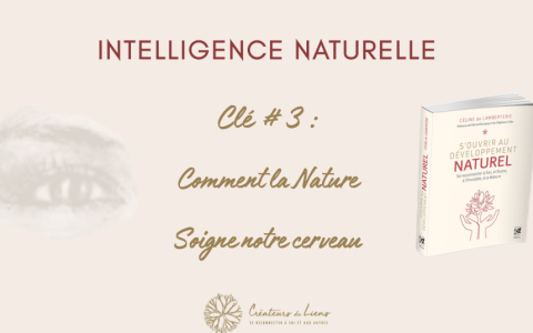 comment la nature soigne notre cerveau